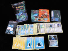 POKEMON COMPANY (FRANCE) (1)